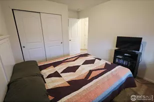 542 Cherryridge Dr, Windsor, CO 80550 - Photo 19