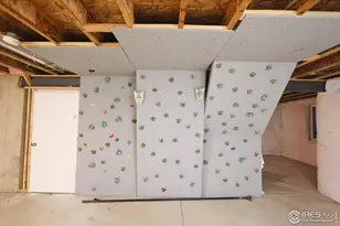 542 Cherryridge Dr, Windsor, CO 80550 - Photo 29