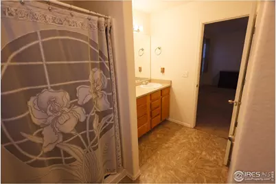 542 Cherryridge Dr, Windsor, CO 80550 - Photo 23