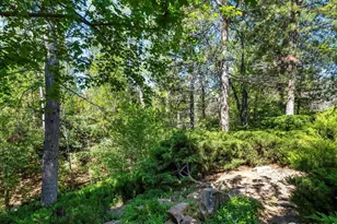 4311 Pali Way, Boulder, CO 80301 - Photo 31