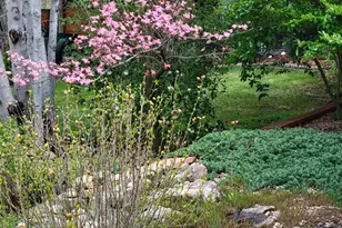 4311 Pali Way, Boulder, CO 80301 - Photo 37