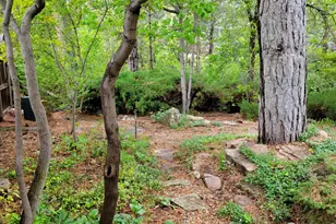 4311 Pali Way, Boulder, CO 80301 - Photo 41