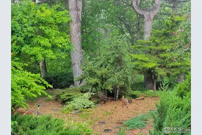 4311 Pali Way, Boulder, CO 80301 - Photo 43