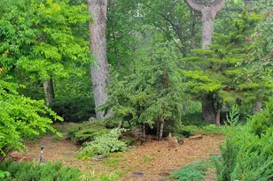 4311 Pali Way, Boulder, CO 80301 - Photo 43