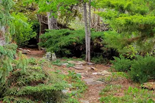 4311 Pali Way, Boulder, CO 80301 - Photo 39