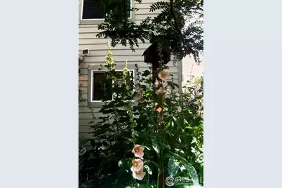 6078 Ulysses Ave, Firestone, CO 80504 - Photo 41