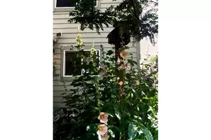 6078 Ulysses Ave, Firestone, CO 80504 - Photo 41