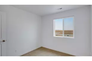 386 Tailholt Ave, Severance, CO 80550 - Photo 15