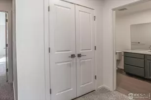 4894 River Roads Dr, Timnath, CO 80547 - Photo 23