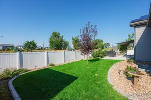 355 Antora Ct, Windsor, CO 80550 - Photo 35