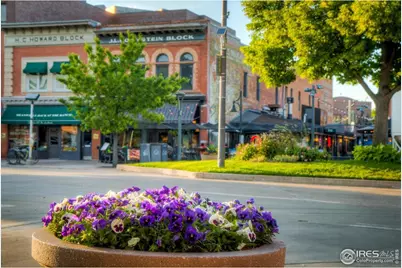 220 E Oak St, Fort Collins, CO 80524 - Photo 19
