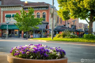 220 E Oak St, Fort Collins, CO 80524 - Photo 19