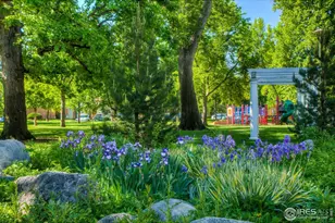 228 E Oak St, Fort Collins, CO 80524 - Photo 17