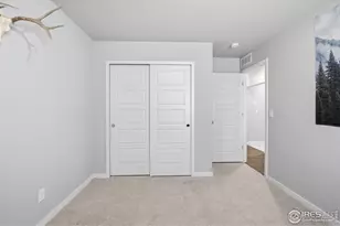 614 Apex Trail, Ault, CO 80610 - Photo 17