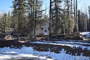 972 N Quarter Horse Rd, Jefferson, CO 80456 - Photo 29