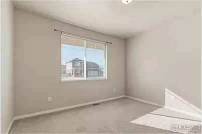 3836 Eucalyptus St, Wellington, CO 80549 - Photo 21