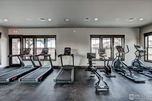 6227 Vernazza Way, Windsor, CO 80550 - Photo 13