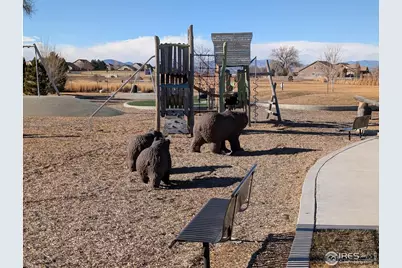 4303 Lacewood Ln, Johnstown, CO 80534 - Photo 35