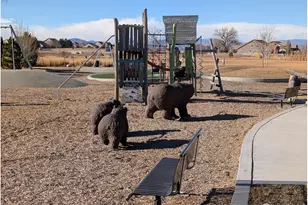 4303 Lacewood Ln, Johnstown, CO 80534 - Photo 35