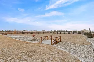 1907 Spring Bloom Dr, Windsor, CO 80550 - Photo 37