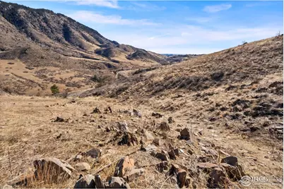 90 Redtail Ridge Way, Bellvue, CO 80512 - Photo 37