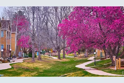 4799 White Rock Cir #4799-D, Boulder, CO 80301 - Photo 29