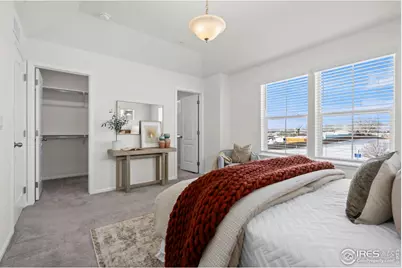 216 Zeppelin Way, Fort Collins, CO 80524 - Photo 17
