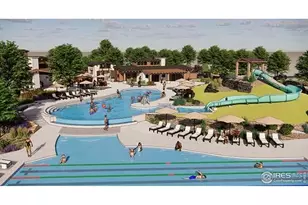 1758 Drumming Dr, Windsor, CO 80550 - Photo 5