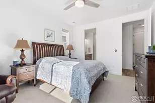 1819 Paley Dr, Windsor, CO 80550 - Photo 21