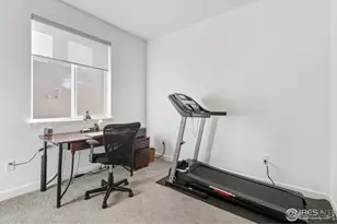 1819 Paley Dr, Windsor, CO 80550 - Photo 7