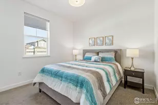 1819 Paley Dr, Windsor, CO 80550 - Photo 5