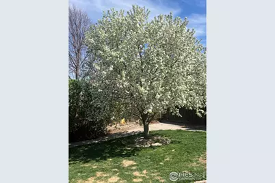 4333 Redrock Ln, Johnstown, CO 80534 - Photo 37