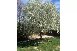 4333 Redrock Ln, Johnstown, CO 80534 - Photo 37