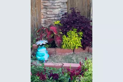 4333 Redrock Ln, Johnstown, CO 80534 - Photo 39