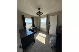 1049 Hewlett Gulch Rd, Livermore, CO 80536 - Photo 13