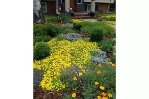 1190 Albion Rd, Boulder, CO 80305 - Photo 41