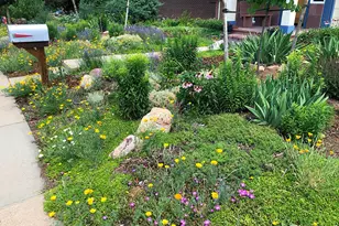 1190 Albion Rd, Boulder, CO 80305 - Photo 39