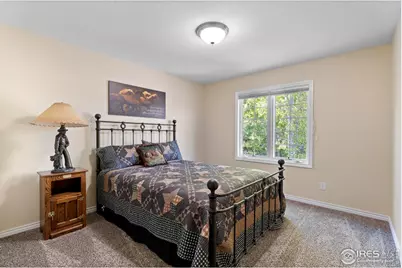 1591 Landon Ct, Windsor, CO 80550 - Photo 19