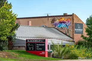 5411 White Pl, Boulder, CO 80303 - Photo 39