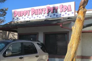 7933 Countryside Dr, Niwot, CO 80503 - Photo 33