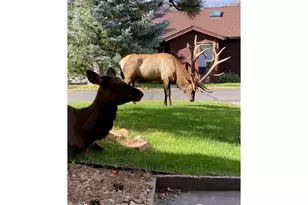 1422 Matthew Cir, Estes Park, CO 80517 - Photo 43