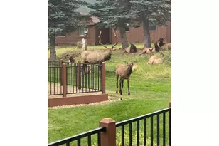 1422 Matthew Cir, Estes Park, CO 80517 - Photo 3