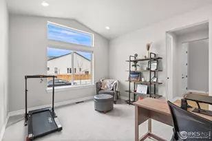 4344 Shivaree Ct, Timnath, CO 80547 - Photo 25