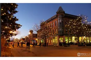 919 Schlagel St, Fort Collins, CO 80524 - Photo 31