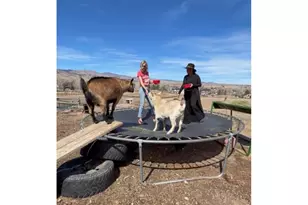 4963 Kelso Rd, Boulder, CO 80301 - Photo 37