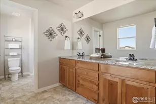 3804 Buckthorn St, Wellington, CO 80549 - Photo 31