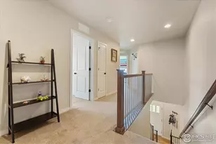 3804 Buckthorn St, Wellington, CO 80549 - Photo 23