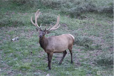 1475 Lower Broadview Rd, Estes Park, CO 80517 - Photo 31
