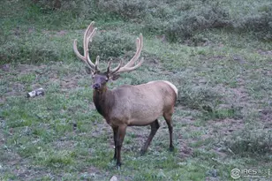 1475 Lower Broadview Rd, Estes Park, CO 80517 - Photo 31