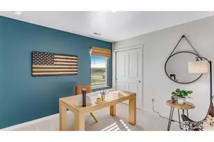 865 Trumpet Ln, Windsor, CO 80550 - Photo 25